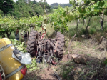 Agricultor morre após sofrer acidente com trator em Nova Pádua, RS